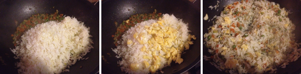 arroz cantonés vegetariano proc 4