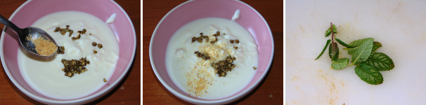 yogur sauce_proc2