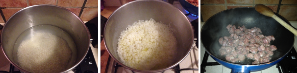 Rollitos de col morada con arroz y salchicha proc 2
